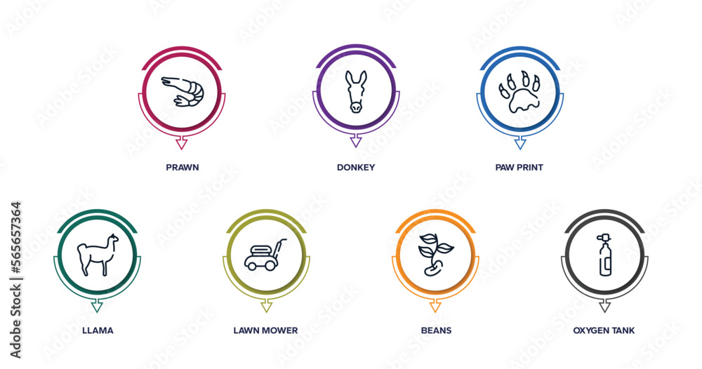 diving outline icons with infographic template. thin line icons such as prawn, donkey, paw print, llama, lawn mower, beans, oxygen tank vector. diving outline icons with infographic template. thin line icons such as prawn, donkey, paw print, llama, lawn mower, beans, oxygen tank vector.