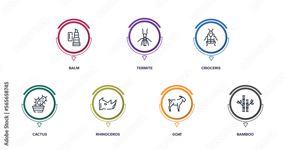 nature outline icons with infographic template. thin line icons such as balm, termite, crioceris, cactus, rhinoceros, goat, bamboo vector. nature outline icons with infographic template. thin line icons such as balm, termite, crioceris, cactus, rhinoceros, goat, bamboo vector.