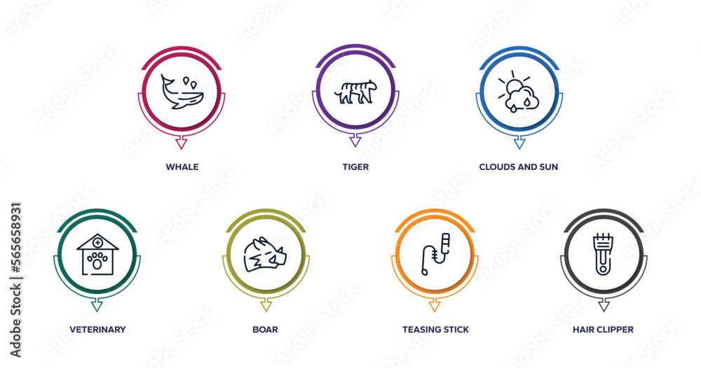 pet grooming outline icons with infographic template. thin line icons such as whale, tiger, clouds and sun, veterinary, boar, teasing stick, hair clipper vector. pet grooming outline icons with infographic template. thin line icons such as whale, tiger, clouds and sun, veterinary, boar, teasing stick, hair clipper vector.