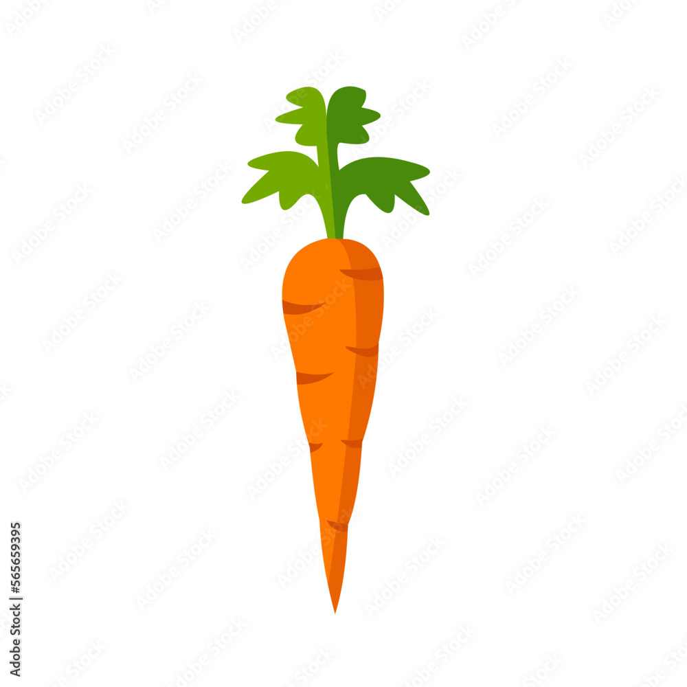 carrot vegetable icon design on isolated white background carrot vegetable icon design on isolated white background