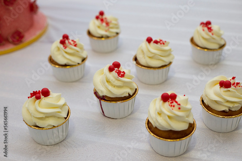 cupcakes with cream 