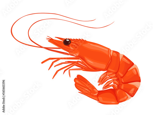 Red cooked shrimp or prawns isolated on white background.Vector  illustration cartoon style.