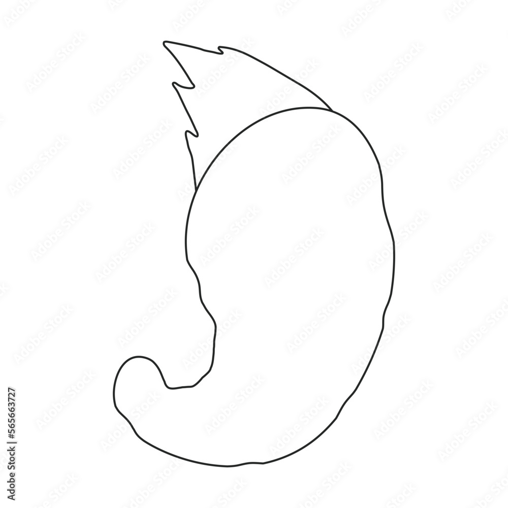 Plankton vector icon.Outline vector icon isolated on white background plankton. Plankton vector icon.Outline vector icon isolated on white background plankton.