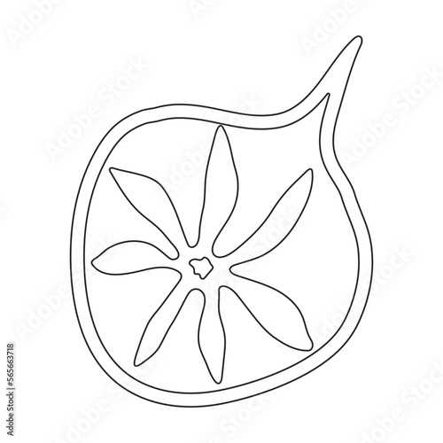 Plankton vector icon.Outline vector icon isolated on white background plankton.