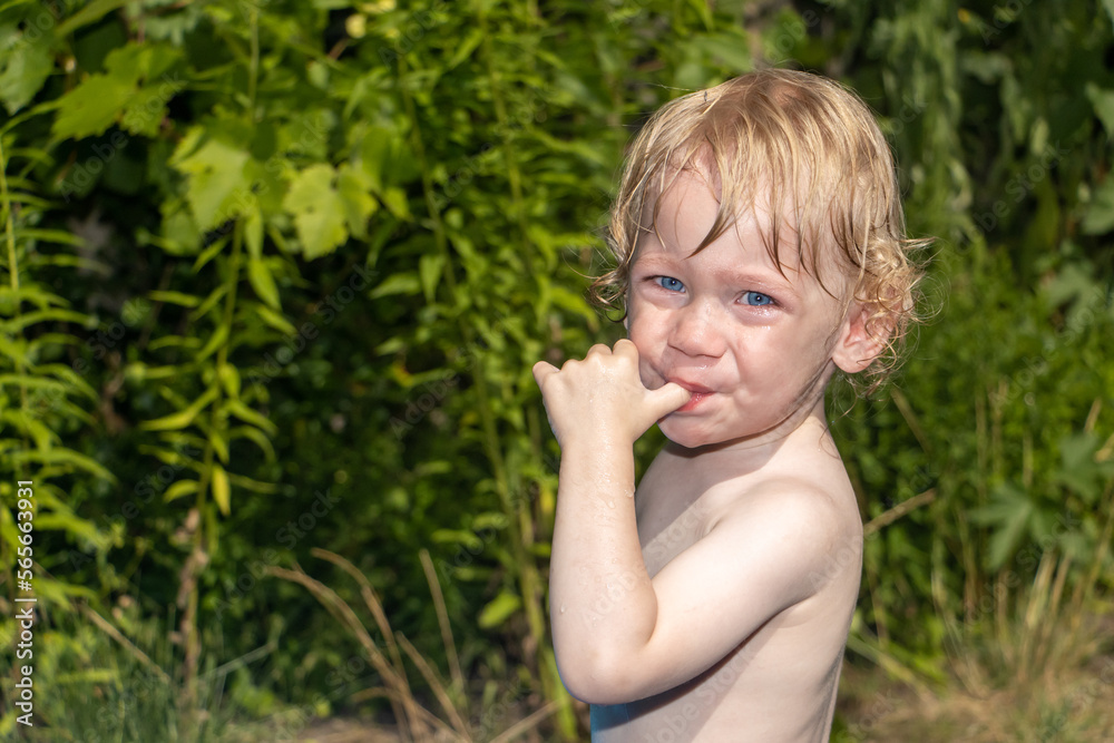 Portrait of a little boy in a summer garden