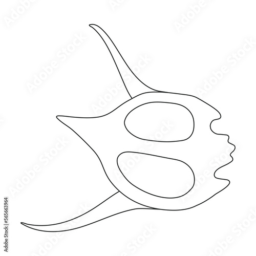 Plankton vector icon.Outline vector icon isolated on white background plankton.