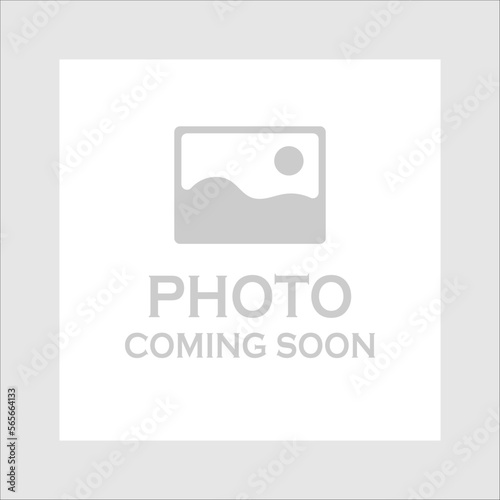 Photo coming soon blank template. Vector template for profile picture. Photo album icon.