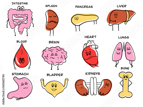 set of organs