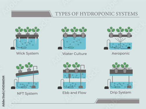 Types of hydroponic systems. Nutrient film technique, deep water culture, aeroponic for smart farming, urban farming and agriculture 4