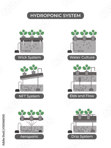 Types of hydroponic systems. Nutrient film technique, deep water culture, aeroponic for smart farming, urban farming and agriculture 4