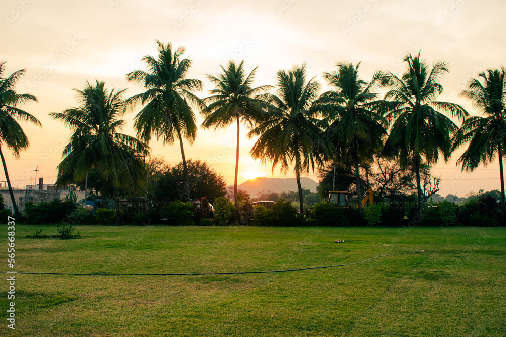Beautiful landscape of green grass field park ,with silhouettes of coconut trees against dusky sky during sunset.