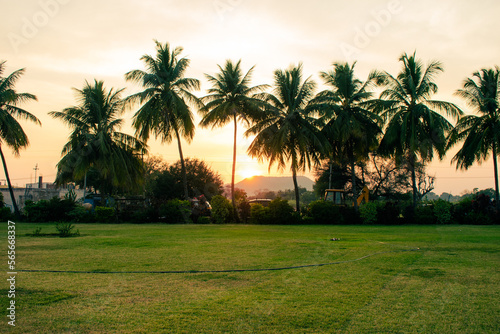 Beautiful landscape of green grass field park ,with silhouettes of coconut trees against dusky sky during sunset. © DiversePixels