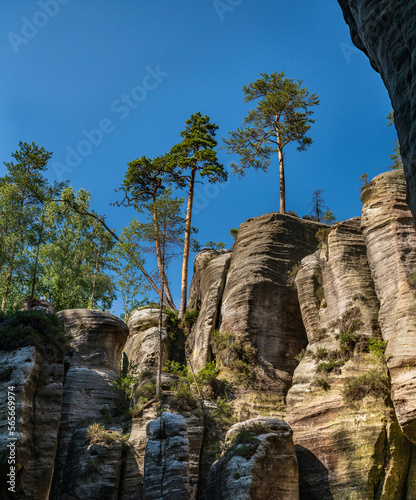 Adrspach Teplice rocks, the sandstone landscape in Bohemia, Czech Republic. Cliffs and mountains in Adršpach-Teplice Rocks. Adersbach-Weckelsdorfer Felsenstadt, Europe hills.