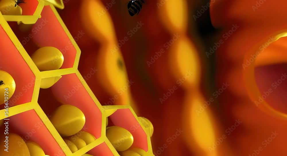 bee hive honey comb with bees flying around orange and yellow colors 3D animation