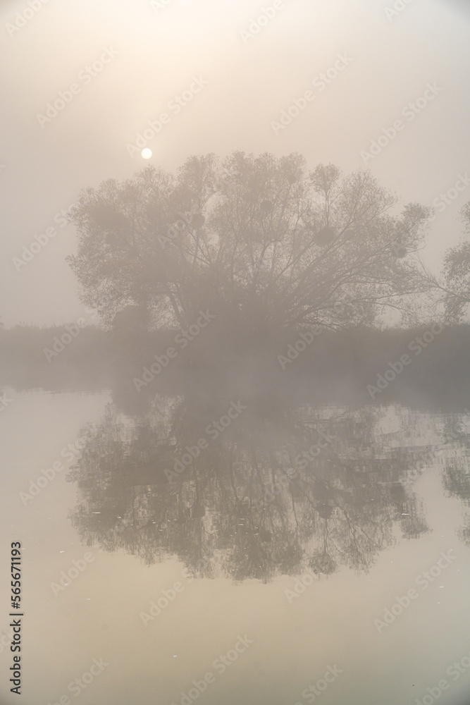 Fototapeta premium pejzaż z mgłą nad rzeką o wschodzie słońca