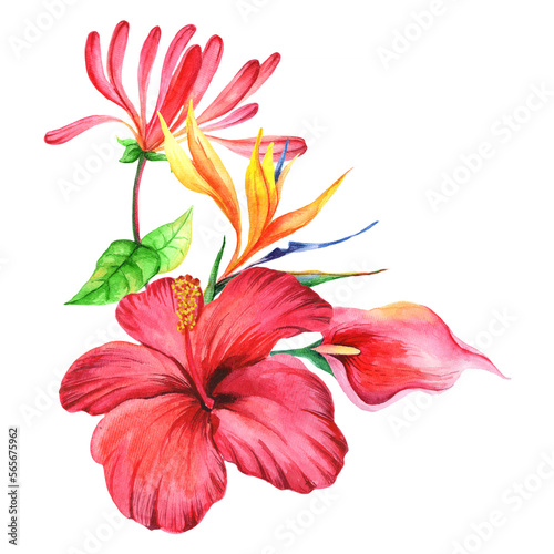 Watercolor bouquet with hibiscus flower isolated on white background.