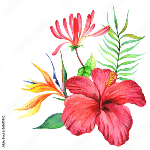 Watercolor bouquet with hibiscus flower isolated on white background.