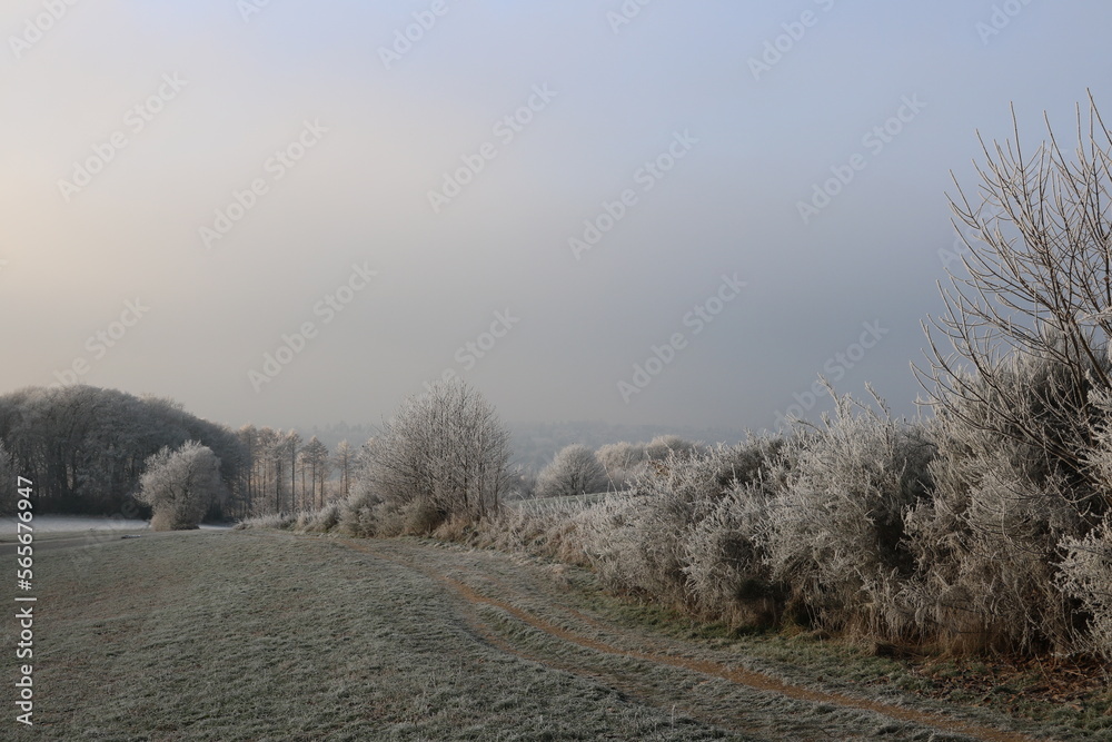 Landschaft im Bergischen Land mit Raureif morgens zur blauen Stunde Landschaft im Bergischen Land mit Raureif morgens zur blauen Stunde