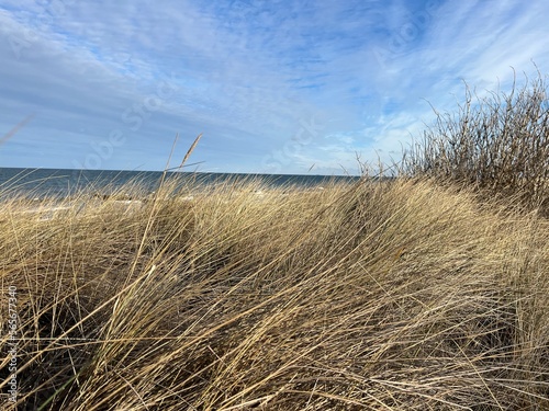 Beach at the Baltic Sea in the north of Germany photo