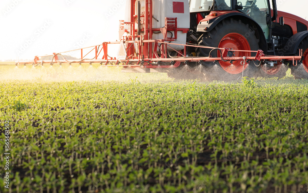 Tractor spraying soybean crops field Tractor spraying soybean crops field