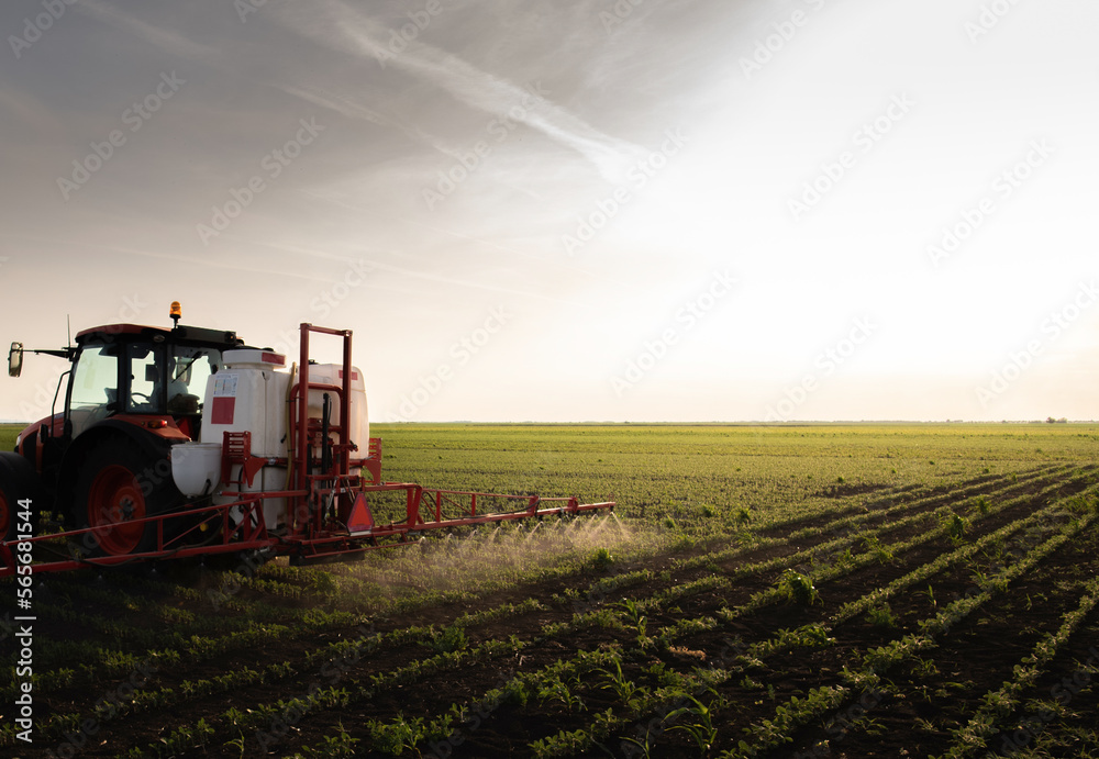 Fototapeta premium Tractor spraying soybean crops field