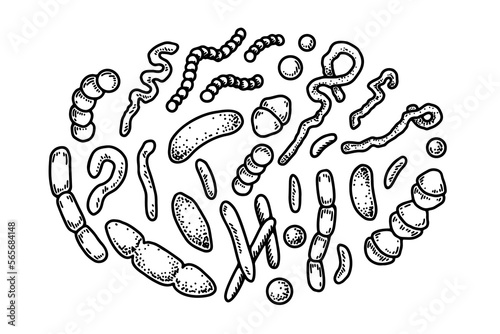 Set of hand drawn bacterias and microorganisms. Vector illustration in sketch style. Realistic microbiology scientific design