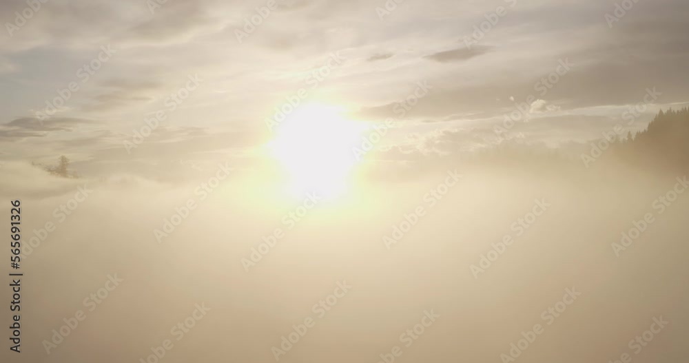 Aerial shot rising through the clouds to a golden sunrise over a Swiss forest