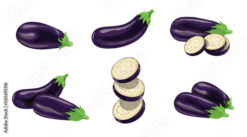 Eggplants set. Whole and sliced fresh aubergines. Best for packages, menu and market designs. Vector illustrations.