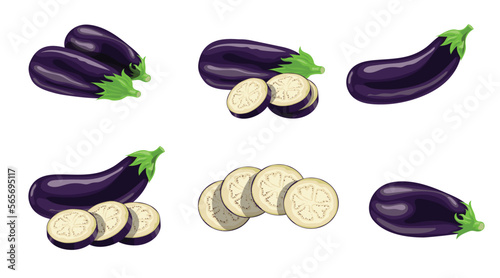 Eggplants set. Whole and sliced fresh aubergines. Best for packages, menu and market designs. Vector illustrations.