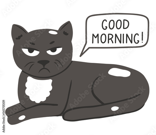 Vector grumpy cat in simple cartoon style