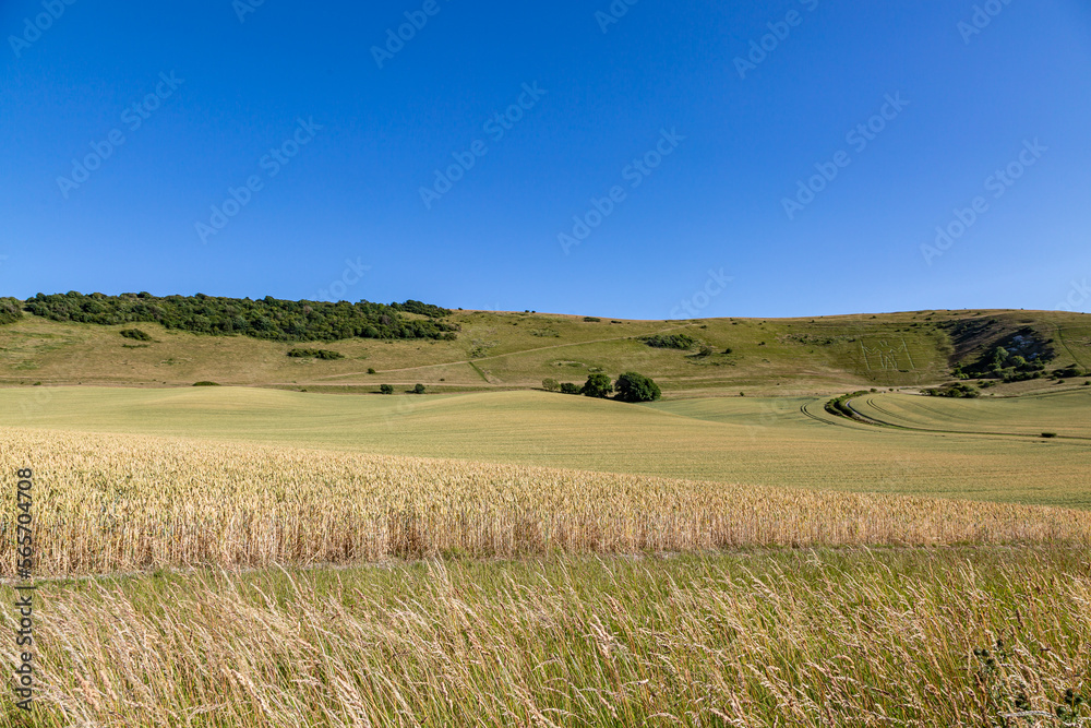 A distant view of the Long Man of Wilmington in East Sussex, on a sunny summer's day