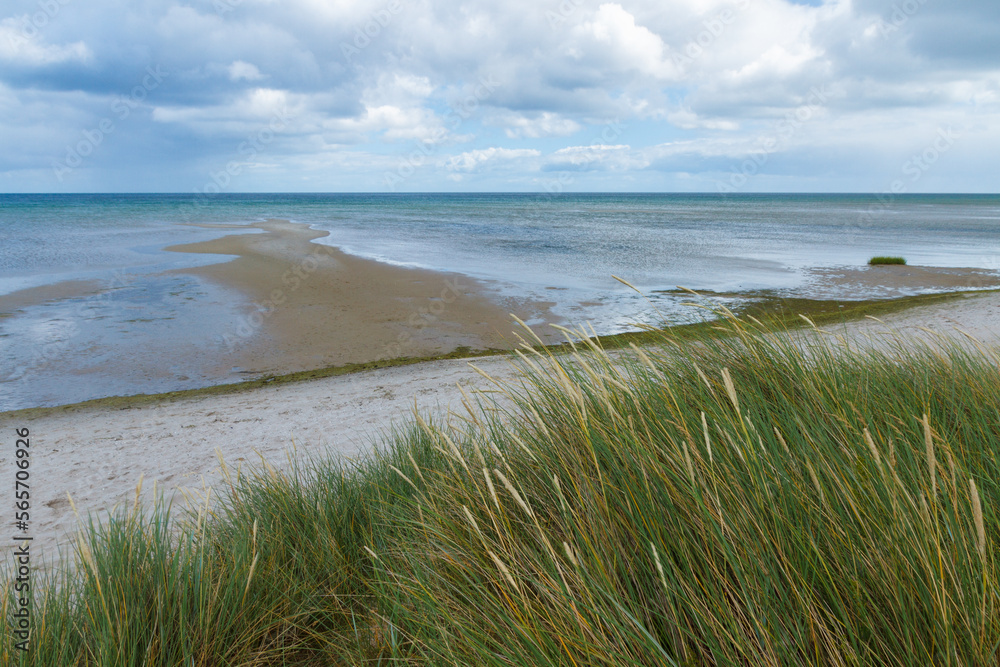 Sandy beach with wonderfully clear, translucent blue to turquoise water and reed in front