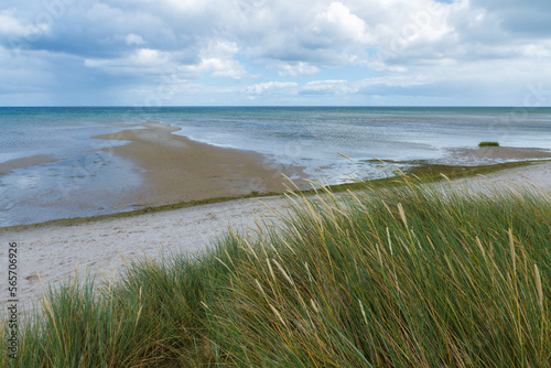 Sandy beach with wonderfully clear, translucent blue to turquoise water and reed in front