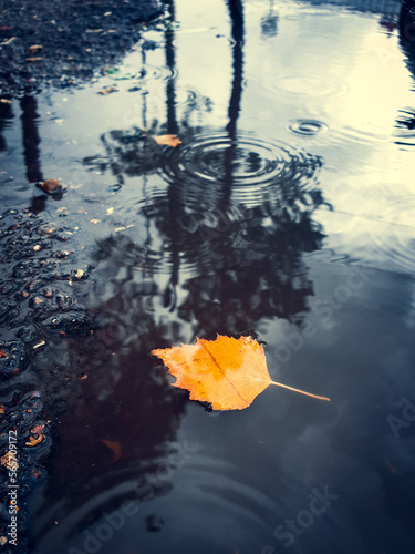 Single golden leaf in autumn puddle. Conceptual image. Emotions of sadness and melancholy. Autumn depression