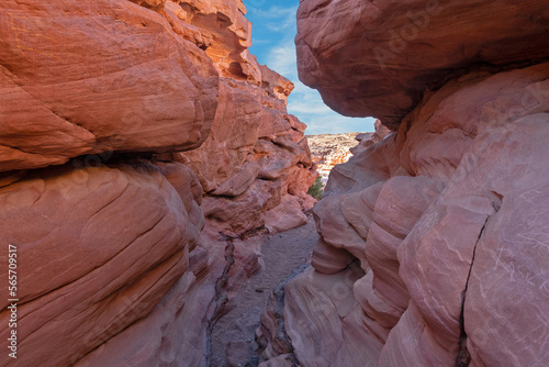 Egypt, Coloured Canyon in Abu Galum national park, South Sinai