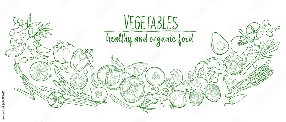 Vegetables, green organic healthy food, set of vegetables. vector Illustration isolated.