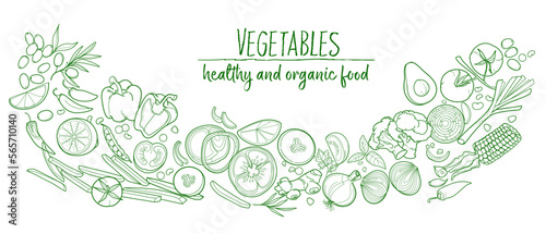 Vegetables, green organic healthy food, set of vegetables. vector Illustration isolated.