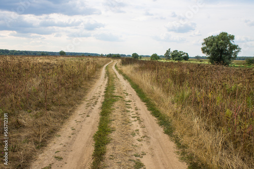 A beautiful landscape - a rural country road in the middle of a field with old withered grass to the horizon line with a cloudy sky in August and a space to copy