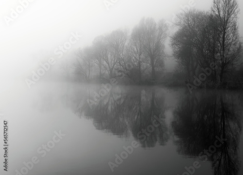 las i jezioro znikające we mgle