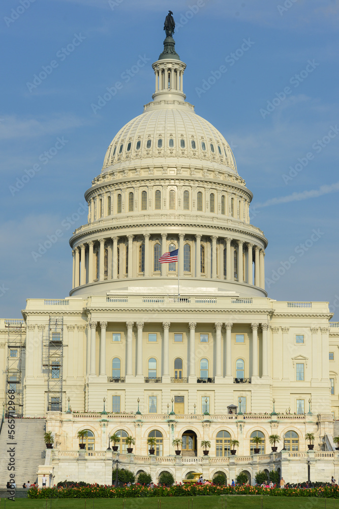 Fototapeta premium US Capitol Building - Washington DC United States of America