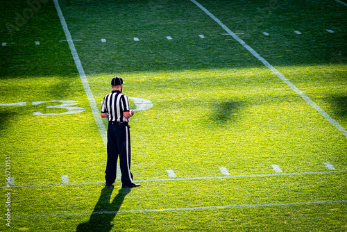 American football referee stands on the football field photo