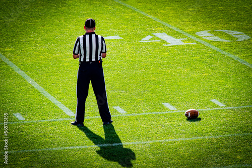 American football referee stands on the football field with a ball