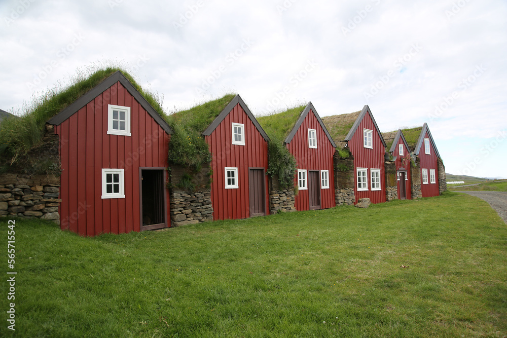 moss roof houses