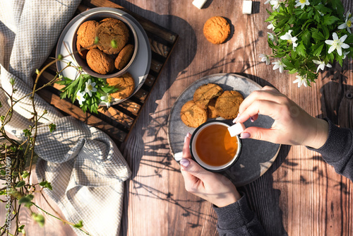 Spring black tea with oatmeal cookies on a dark wooden background with flowers. Spring has come concept. First flowers. Horizontal spring composition. Flat lay. Top view. Photo with female hands. 