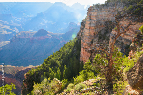 Grand Canyon - Arizona, United States