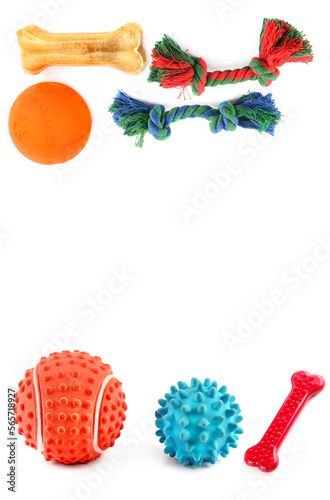 Set of dog toys isolated on white . Collage. Free space for text. Vertical photo.