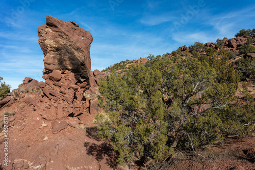 Large rock formation poking up from a mountainside with brush in rural New Mexico