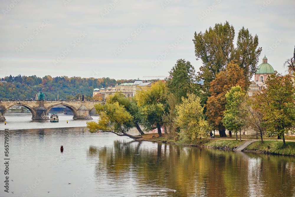 Autumn trees on the banks of the Vltava Prague, Czech.