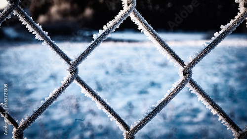 link fence