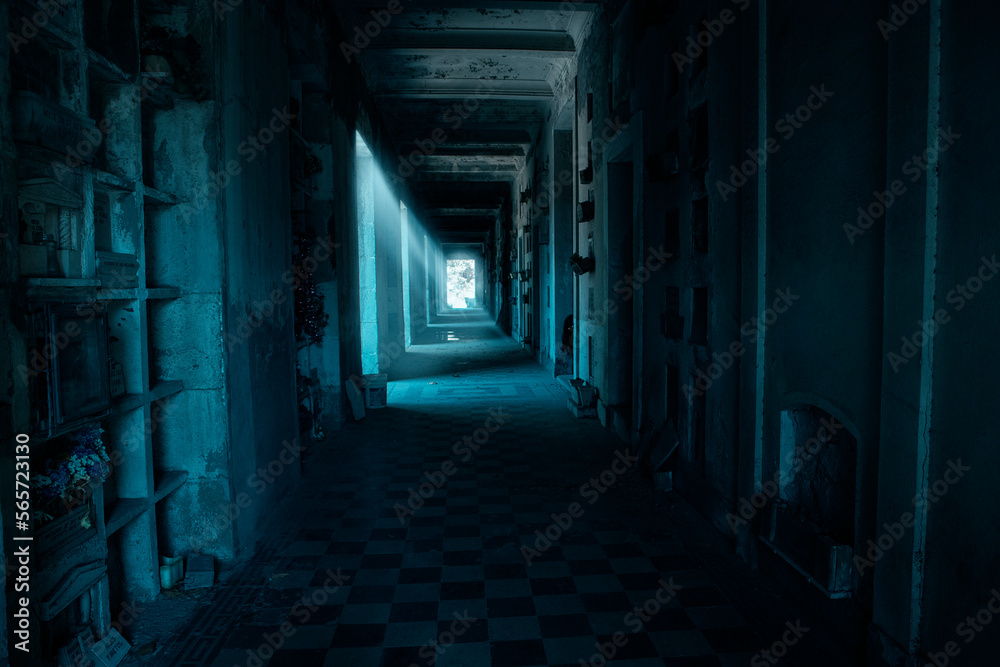 Scary hallway with shadow person